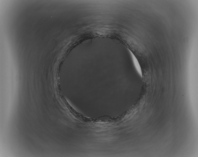 X0000111471009200908031355