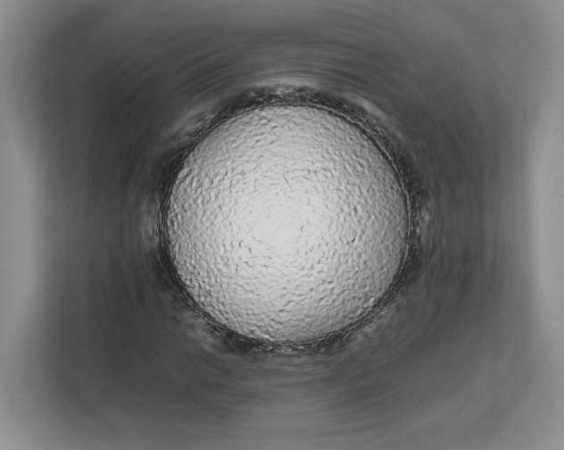 X0000111471014200908031355