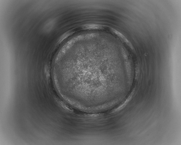 X0000111471017200908031355