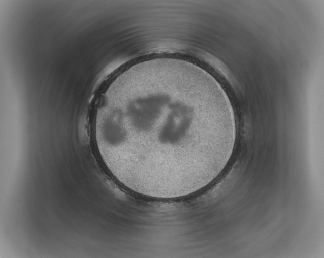 X0000111471018200908031355