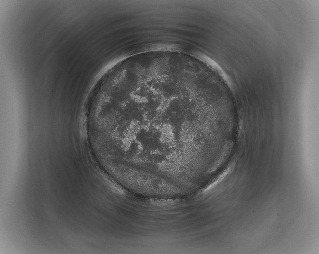 X0000111471019200908031355