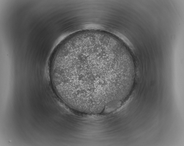 X0000111471022200908031355