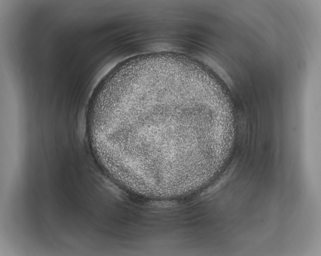 X0000111471023200908031355