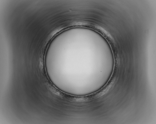 X0000111471025200908031355