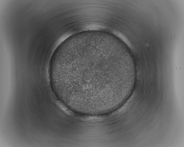 X0000111471026200908031355