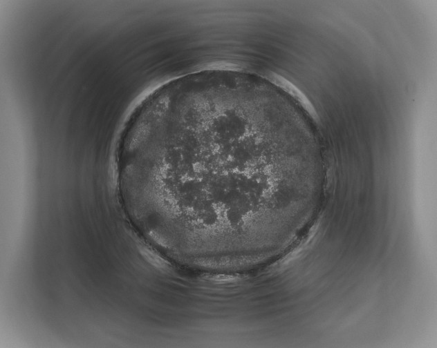 X0000111471027200908031355