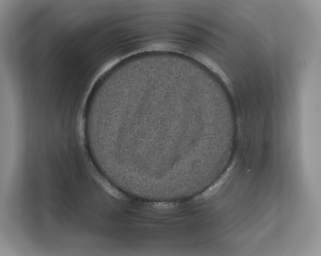 X0000111471029200908031355