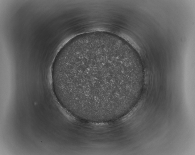 X0000111471031200908031355