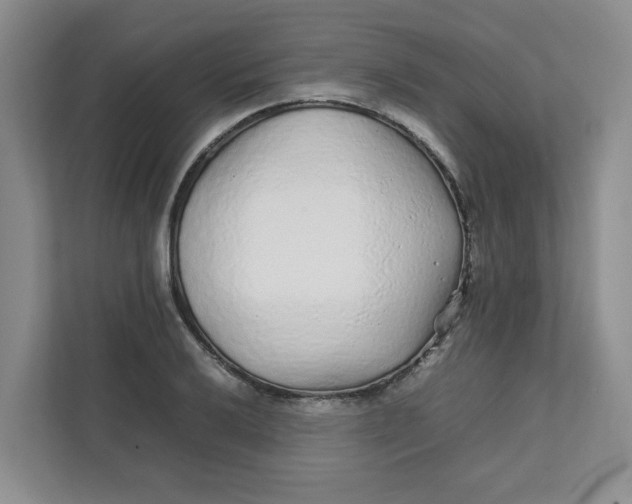 X0000111471032200908031356