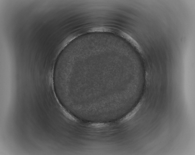 X0000111471033200908031356