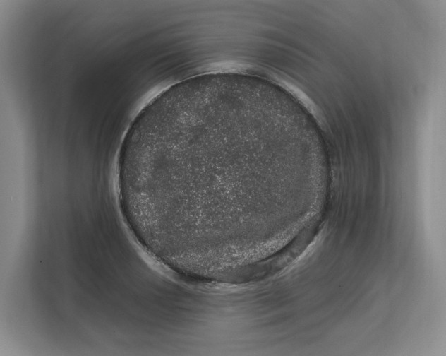 X0000111471034200908031356