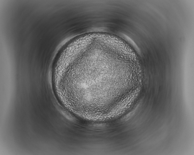 X0000111471035200908031356