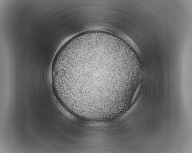 X0000111471036200908031356