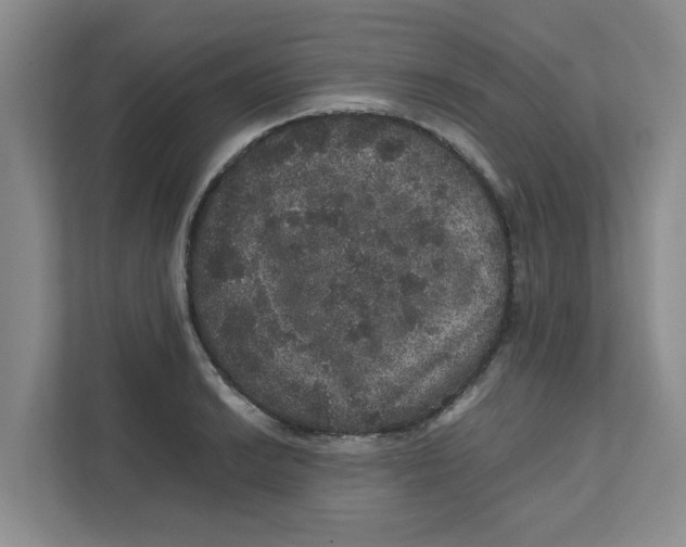 X0000111471038200908031356