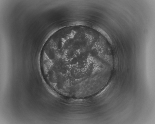 X0000111471039200908031356