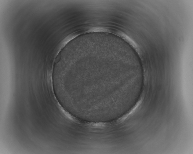 X0000111471041200908031356