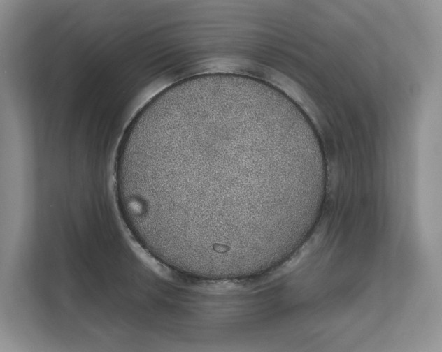 X0000111471042200908031356