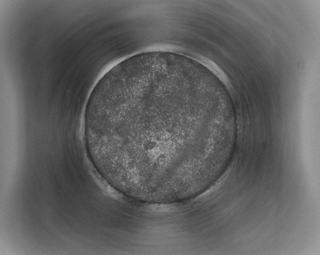 X0000111471044200908031356