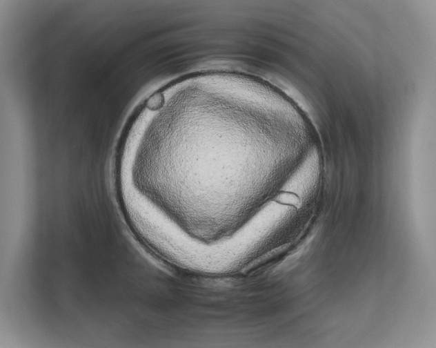 X0000111471045200908031356