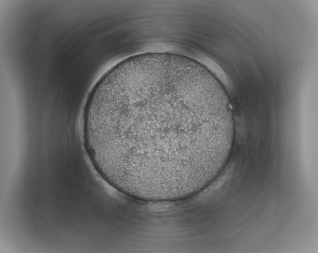 X0000111471046200908031356