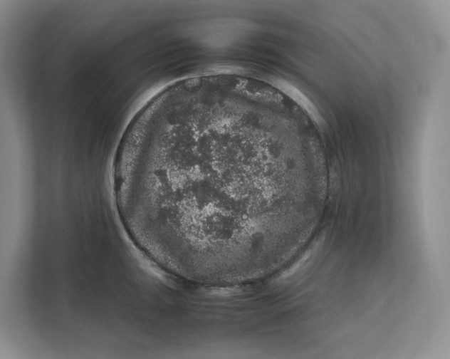 X0000111471047200908031356