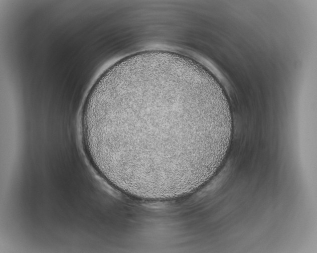 X0000111471048200908031356