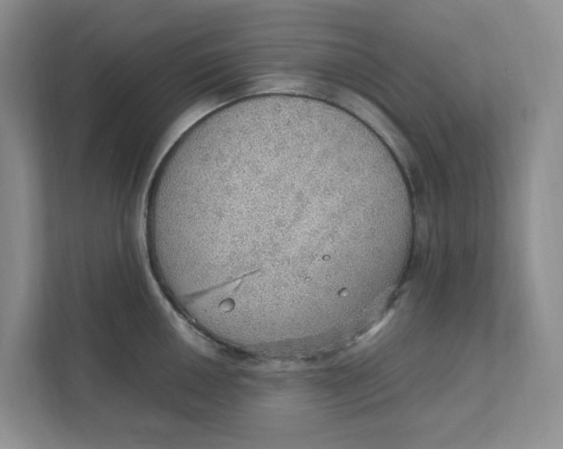 X0000111471050200908031356