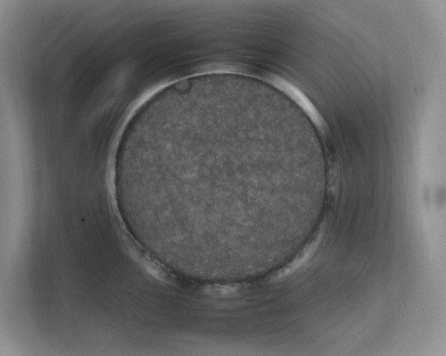 X0000111471051200908031356