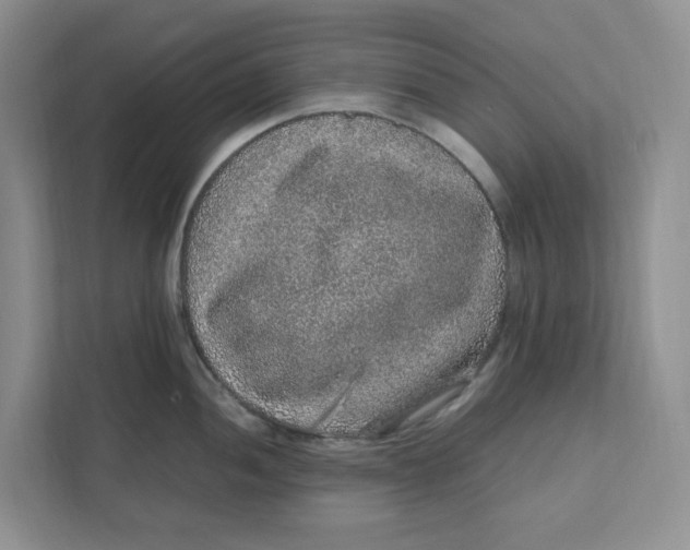 X0000111471052200908031356