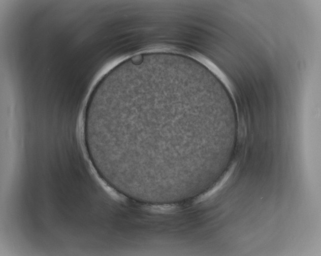 X0000111471053200908031356