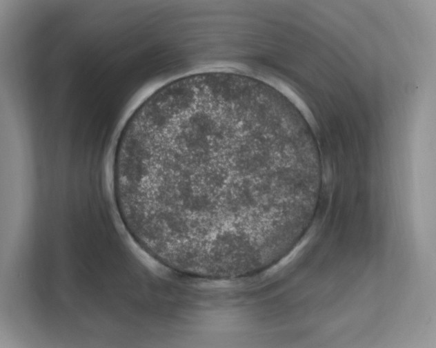 X0000111471054200908031356