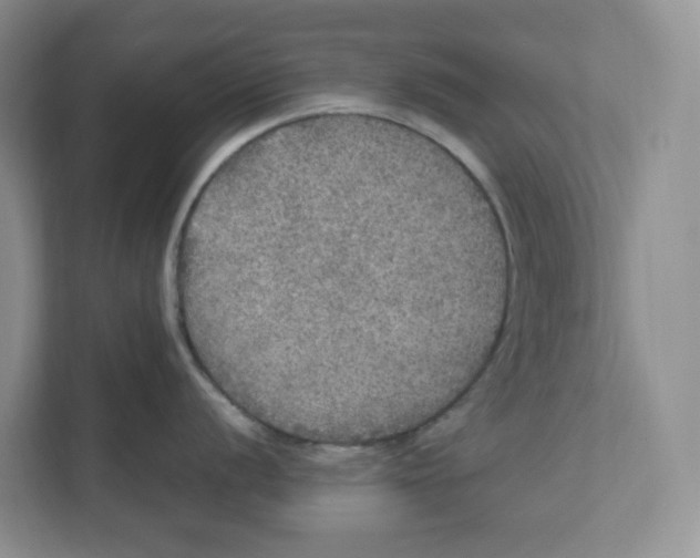 X0000111471056200908031356