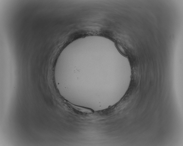 X0000111471057200908031355