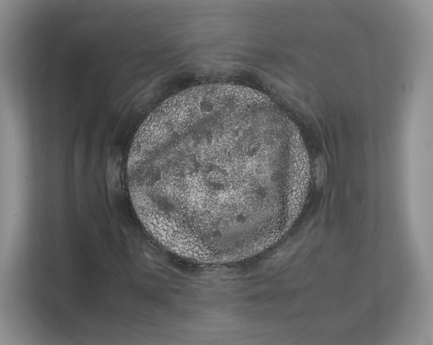 X0000111471059200908031355