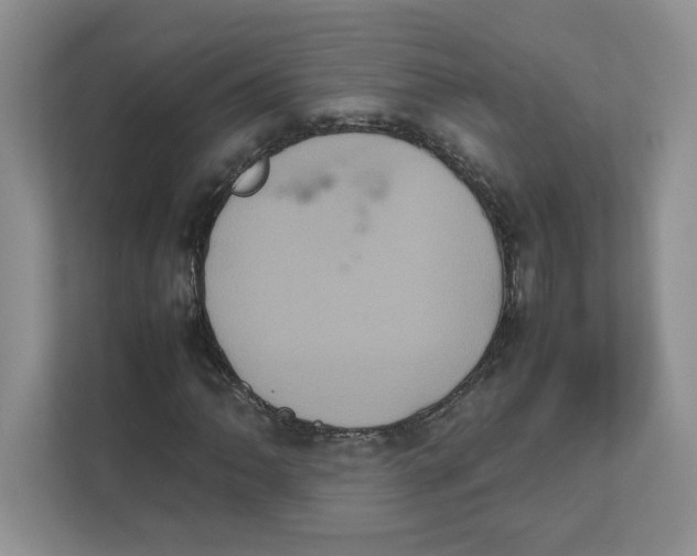 X0000111471062200908031355