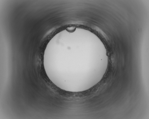 X0000111471064200908031355