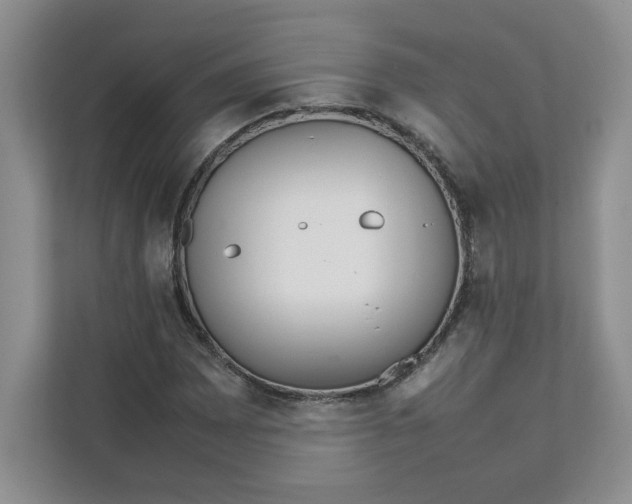 X0000111471065200908031355