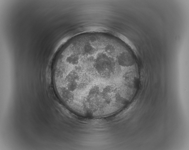 X0000111471067200908031355