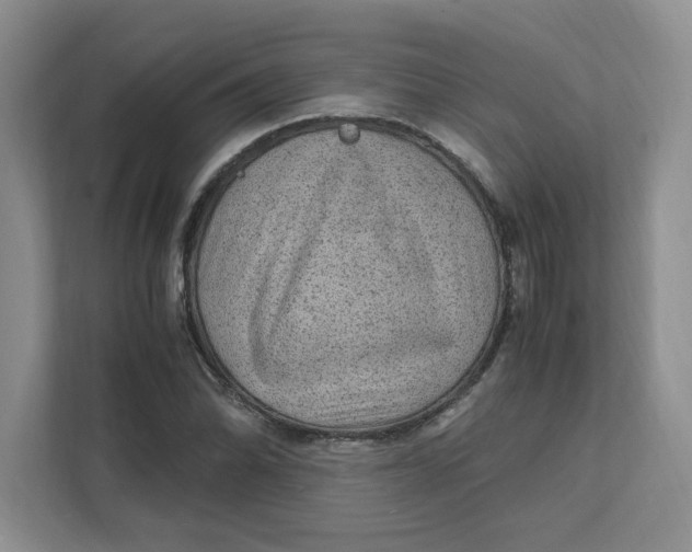 X0000111471070200908031355