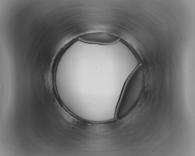 X0000111471072200908031355