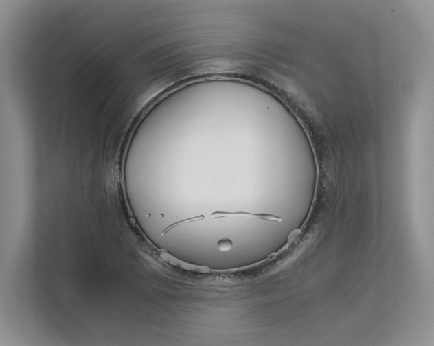 X0000111471073200908031355