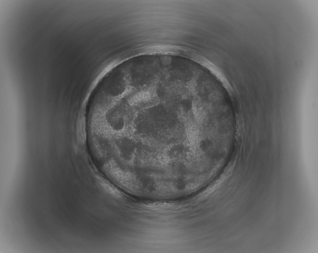 X0000111471075200908031355