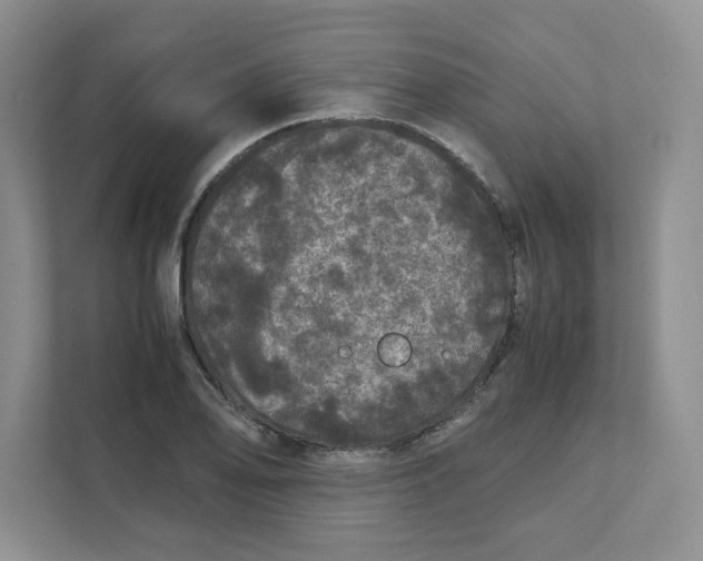 X0000111471078200908031355