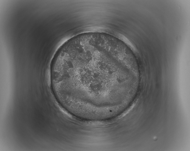 X0000111471079200908031355