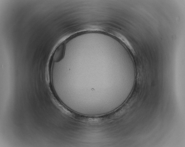 X0000111471080200908031355