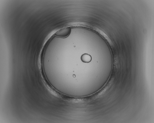 X0000111471082200908031355