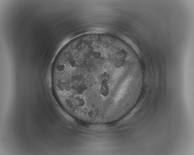 X0000111471083200908031355