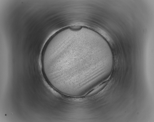 X0000111471084200908031355