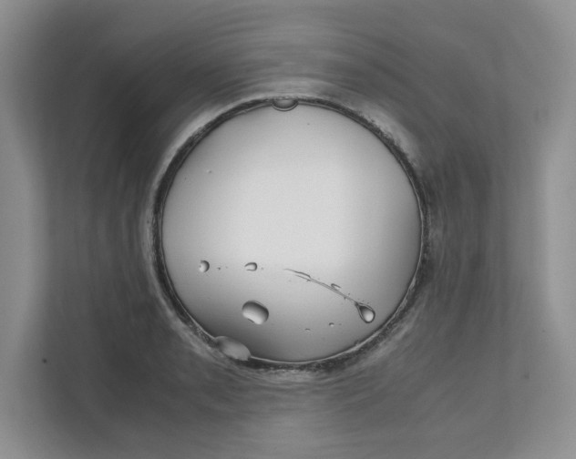 X0000111471085200908031355