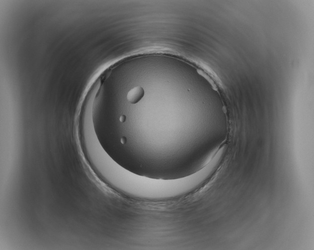 X0000111471086200908031355